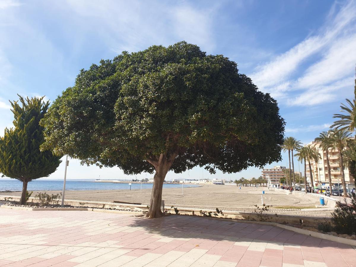 Beautiful Flat With Sea View And Sound Of The Surf Apartment Santa Pola Exterior photo